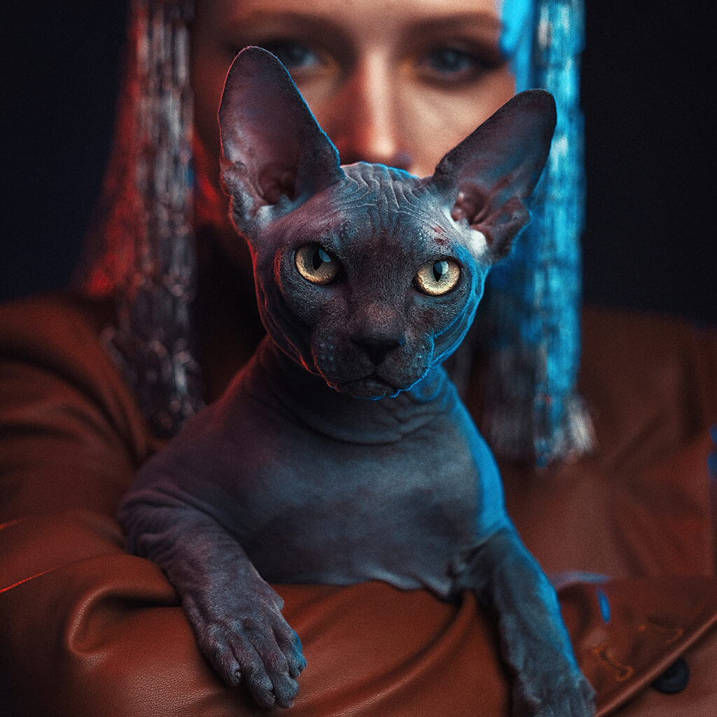 iwata Master S sample image